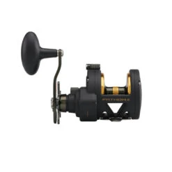 PENN FATHOM II STAR DRAG - Multirolle -Angelausrüstung PENN Fathom II Star Drag Reel 25 2019 alt3uD4jjkS0Hw8bZ 1280x1280