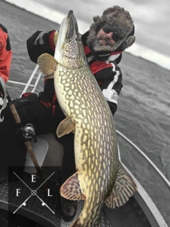 Eastfield Wingman Curly 23cm, 77g -Angelausrüstung wingman curlr 3