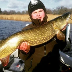 Eastfield Wingman Curly 23cm, 77g -Angelausrüstung wingman curlr 4